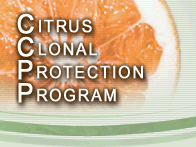 UCR Citrus Clonal Protection Program