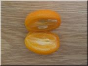 Split Nagami kumquat Split Nagami kumquat