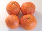 'Sanguinello' blood orange