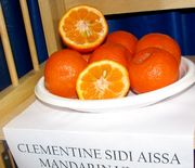Clementine'Sidi Aissa'